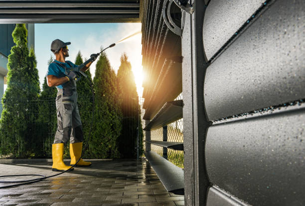Best Roof Washing  in Del Rey, CA